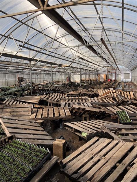 Cliff avenue greenhouse - SIOUX FALLS, S.D. (KELO) — Spring is warming up in KELOLAND. That means people are itching to get in their gardens for the season. Rebecca Halma stopped at Cliff Avenue Greenhouse and Garden ...
